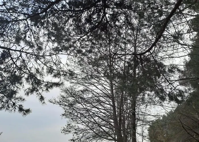 Dla 2 Osob Nad Rzeka * Serock